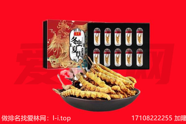 郑州市管城回收虫草.jpg